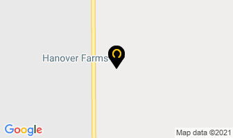 Hanover Farms Inc in Steinbach map