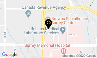 High Point Animal Hospital Inc in Surrey map