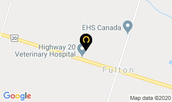 Highway 20 Veterinary Hospital in Smithville map