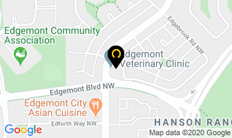 Home Care Assistance Calgary in Calgary map