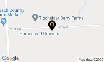 Homestead Growers Inc in Lethbridge map