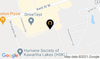 I & K Auto Service Ltd in Lindsay map