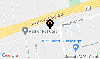 Import Temptations Inc in North York map