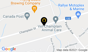 Investia Financial Services in Dieppe map