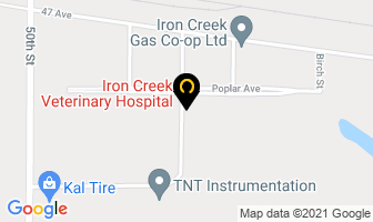 Iron Creek Veterinary Hospital in Princeton map