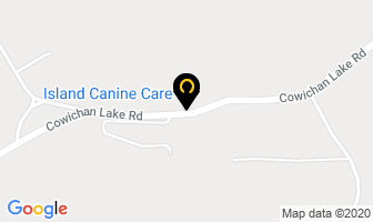 Island Canine Care in Rouyn-Noranda map