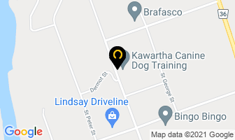 Kawartha Canine Dog Training in Lindsay map
