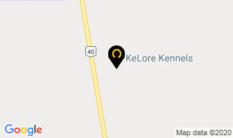 Kelore Kennels in Grande Prairie map