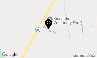 Kincardine Veterinary Services in Kincardine map