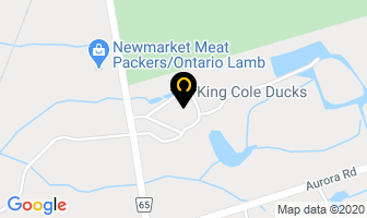 King Cole Ducks Ltd in Whitchurch-stouffville map