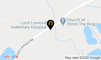 Loch Lomond Veterinary Hospital in Saint John map