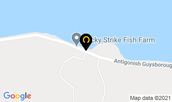 Lucky Strike Fish Farm in Guysborough map