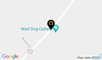 Mad Dog Gallery in Prince Edward map