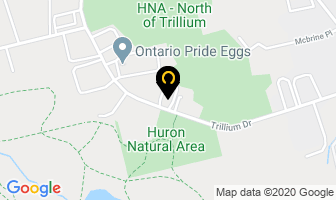 Magnets International Inc in Kitchener map