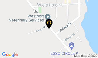 Mane Attraction in Westport map