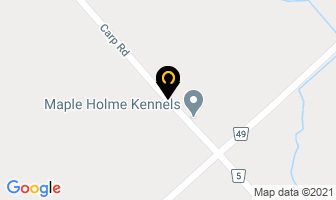 Maple Holme Kennels in Guelph map