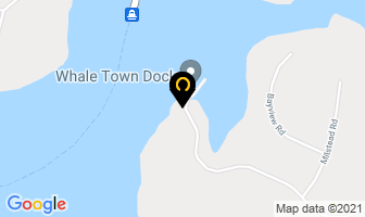 Marine Dental Clinic in Frankford map