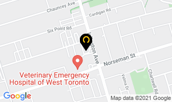 Martin's Cleaners Ltd in Orillia map