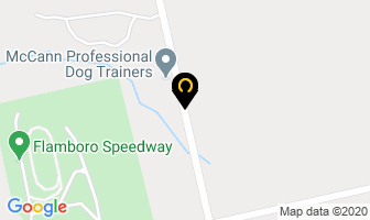 Mccann Professional Dog Trainers in Hamilton map
