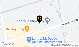 Medicvan Patient Transfer Services Inc. in Vaughan map