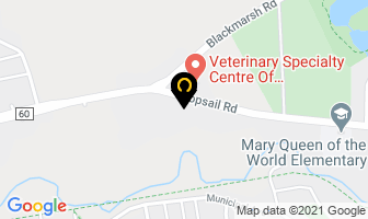 Meineke Car Care Centre in Mount Pearl map