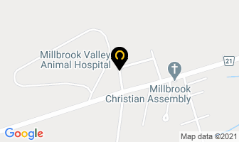 Millbrook Valley Animal Hospital in Millbrook map