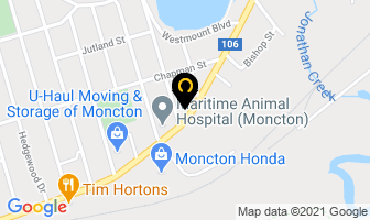 Mister Transmission in New Richmond map