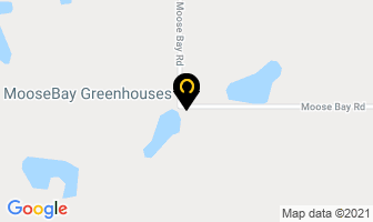 Moosebay Greenhouses in Grayson map