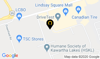Morris Veterinary Hospital in Lindsay map