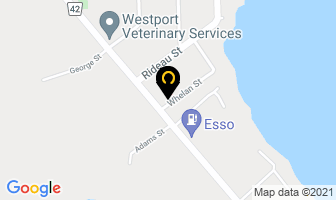 My Dog Spa in Westport map