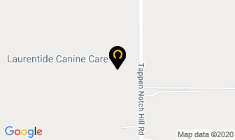 N&t Canine Service in Agassiz map
