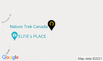 Nature Trek Canada in Beeton map