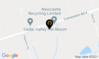 Newcastle Recycling Limited in Selkirk map