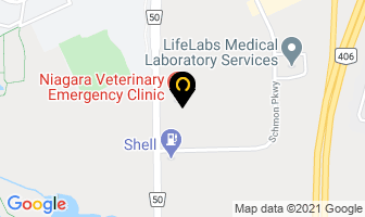 Niagara Veterinary Emergency Clinic in Estevan map