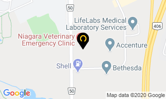 Niagara Veterinary Emergency Clinic in Estevan map
