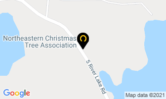 Northeastern Christmas Tree Association in Guysborough map