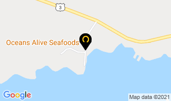 Oceans Alive Seafoods Ltd in Ashburn map