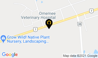 Omemee Veterinary Hospital in Kawartha Lakes map