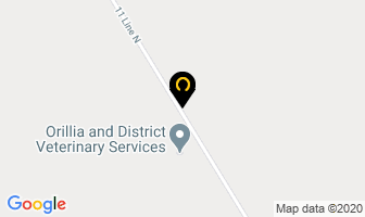 Orillia & District Veterinary Services in Coldwater map