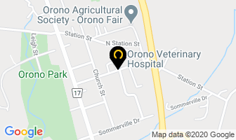 Orono Veterinary Hospital in Selkirk map