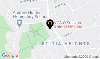 O'sullivan Animal Hospital in Barrie map