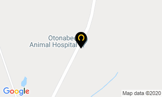 Otonabee Animal Hospital in Peterborough map