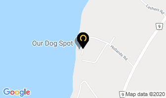 Our Dog Spot in Napanee map