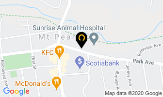 Overhead Roofing in Mount Pearl map