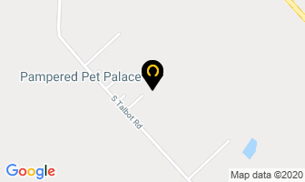Pampered Pet Palace in Kingsville map