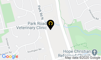 Park Road Veterinary Clinic in Brantford map