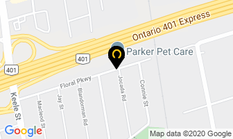Parker Pet Care Toronto in North York map