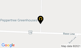 Peppertree Greenhouses Ltd in Chatham-Kent map