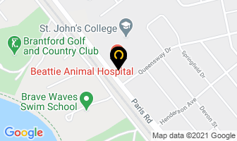 Pet Grooming Services in Brantford map