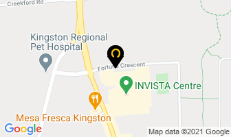 Pg Sports in Kingston map